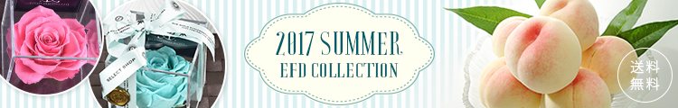 2017EFDコレクション