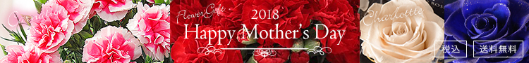 2018 母の日