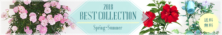 2018 ベストコレクション