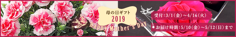 2019 母の日