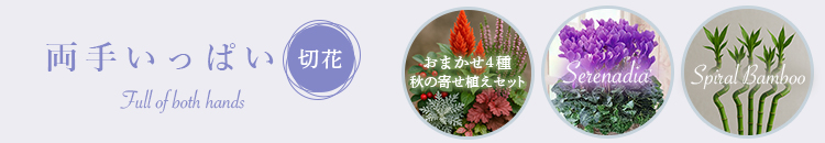 両手いっぱい