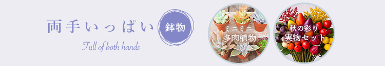 両手いっぱい