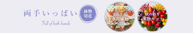 両手いっぱい