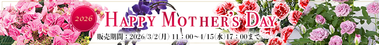 母の日