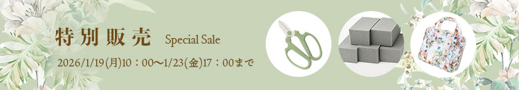 特別販売