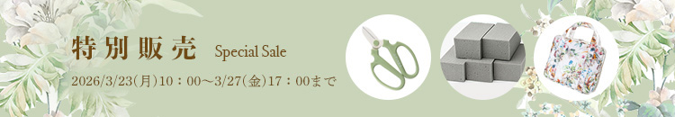 特別販売