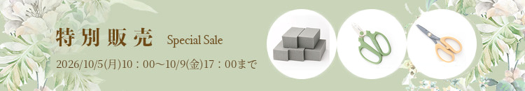 特別販売