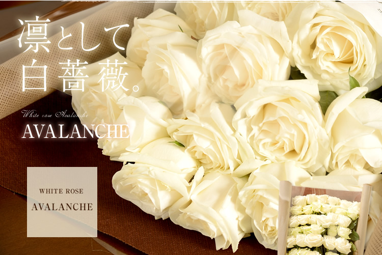 Class Salon Bouquet 花束 アバランチェ Class Salon