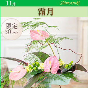 MO]霜月〈ご自宅用花材セット〉※その他商品との合算不可 今月のベスト