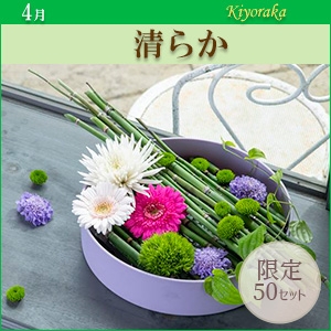 [MO]炩qpԍރZbgȓiƂ̍Zs