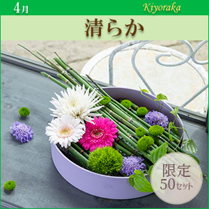 [MO]炩qpԍރZbgȓiƂ̍Zs