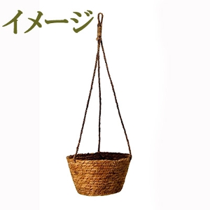 肢ς@܂nMOϗtAi1jypȈՕz̑iƂ̍Zs