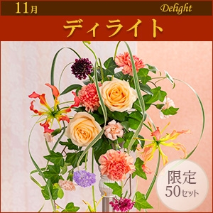 [EX]fBCgqpԍރZbgȓiƂ̍Zs