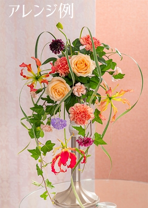 [EX]fBCgqpԍރZbgȓiƂ̍Zs