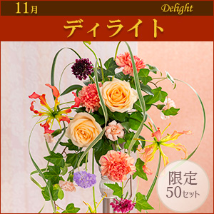 [EX]fBCgqpԍރZbgȓiƂ̍Zs