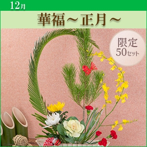 [MO]ؕ``qpԍރZbgȓiƂ̍Zs