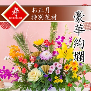 [CO-B]ԉ``NZbgqpԍރZbgȓiƂ̍Zs