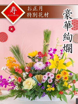 [CO-B]ԉ``NZbgqpԍރZbgȓiƂ̍Zs