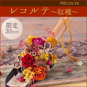 [vU[uht[]Re`n`qpԍރZbgȓiƂ̍Zs