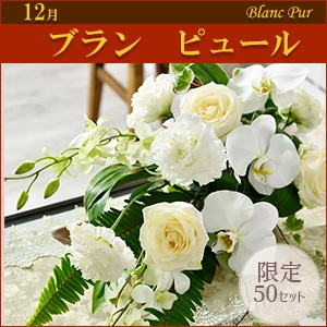 [EX]u@s[qpԍރZbgȓiƂ̍Zs