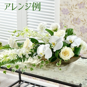 [EX]u@s[qpԍރZbgȓiƂ̍Zs