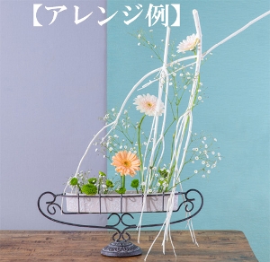 [MO]�t�ƂȂ�q������p�ԍރZ�b�g�r�����̑����i�Ƃ̍��Z�s��