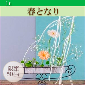 [MO]�t�ƂȂ�q������p�ԍރZ�b�g�r�����̑����i�Ƃ̍��Z�s��