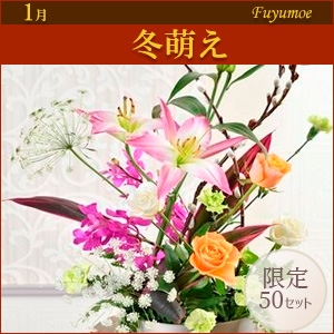 [EX]�~�G���q������p�ԍރZ�b�g�r�����̑����i�Ƃ̍��Z�s��