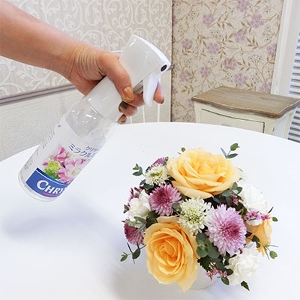 �D�~���N���~�X�g���������ʔ̔����i�ȊO�Ƃ̍��Z�s��