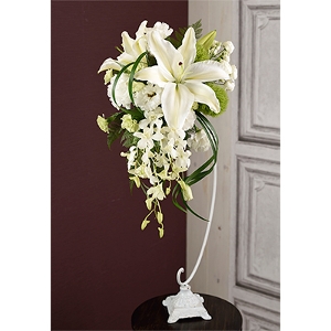 �G�u�[�P�X�^���h���yFB-018�z�����ʔ̔����i�ȊO�Ƃ̍��Z�s��