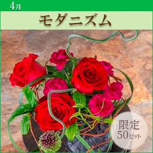 [MO]���_�j�Y���q������p�ԍރZ�b�g�r�����̑����i�Ƃ̍��Z�s��