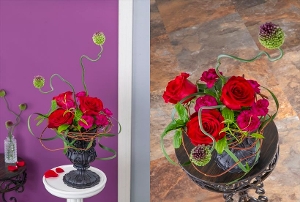 [MO]���_�j�Y���q������p�ԍރZ�b�g�r�����̑����i�Ƃ̍��Z�s��