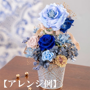 [�v���U�[�u�h�t�����[]�g�D�[�@�r�[�@�m�[�u���`�R�T�[�W���`�q������p�ԍރZ�b�g�r�����̑����i�Ƃ̍��Z�s��