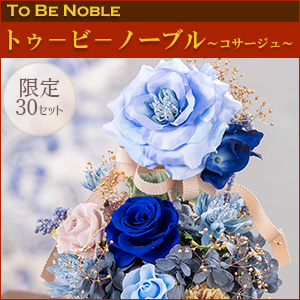 [�v���U�[�u�h�t�����[]�g�D�[�@�r�[�@�m�[�u���`�R�T�[�W���`�q������p�ԍރZ�b�g�r�����̑����i�Ƃ̍��Z�s��