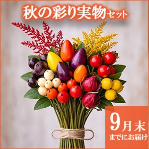���肢���ς��@�H�̍ʂ�����Z�b�g�y������p�ȈՕ�z�����̑����i�Ƃ̍��Z�s��