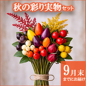 ���肢���ς��@�H�̍ʂ�����Z�b�g�y������p�ȈՕ�z�����̑����i�Ƃ̍��Z�s��