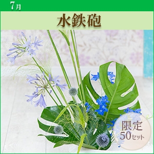 [MO]���S�C�q������p�ԍރZ�b�g�r�����̑����i�Ƃ̍��Z�s��