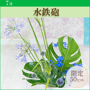 [MO]���S�C�q������p�ԍރZ�b�g�r�����̑����i�Ƃ̍��Z�s��