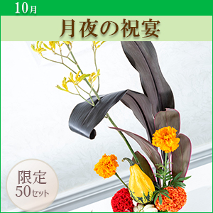 [MO]����̏j���q������p�ԍރZ�b�g�r�����̑����i�Ƃ̍��Z�s��