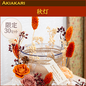 [�v���U�[�u�h�t�����[]�H���q������p�ԍރZ�b�g�r�����̑����i�Ƃ̍��Z�s��