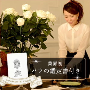 class salon bouquet(ԑ)zCg[Y@Ao`F40{