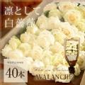 class salon bouquet(ԑ)zCg[Y@Ao`F40{