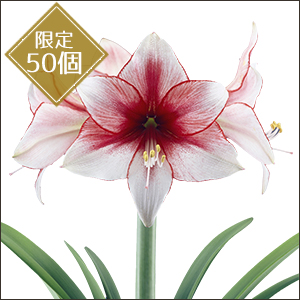 I_YA}Xueve[VvyXyVMtg{bNXz