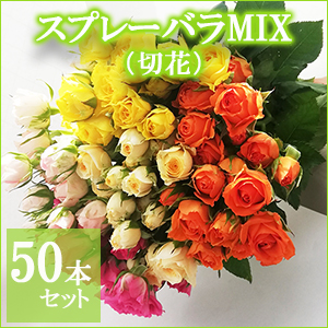 スプレーバラMIX50本セット【ご自宅用簡易包装】