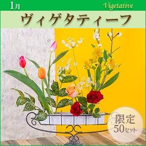 [MO]BQ^eB[tqpԍރZbgȓiƂ̍Zs