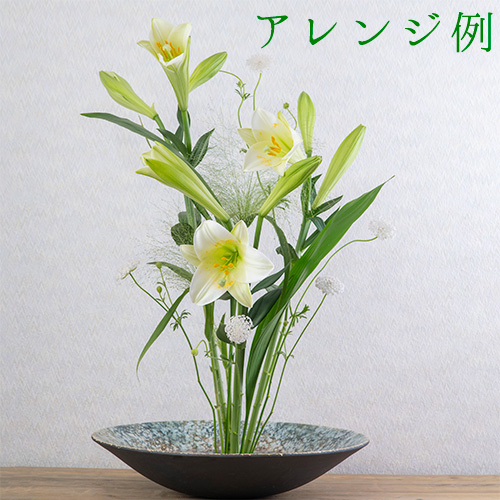 MO]ヴァーティカル〈ご自宅用花材セット〉※その他商品との合算不可