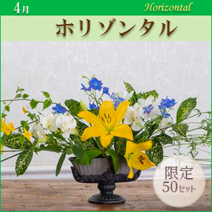 MO]ホリゾンタル〈ご自宅用花材セット〉※その他商品との合算不可 今月