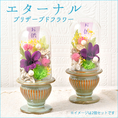 プリザーブドフラワー花材セット　まとめ売り 楽天市場】翌日配達 14時〆 プリザーブドフラワー ボックス