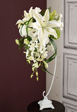 �u�[�P�X�^���h�yFB-018�z