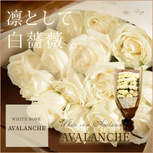 class salon bouquet(ԑ)@Ao`F